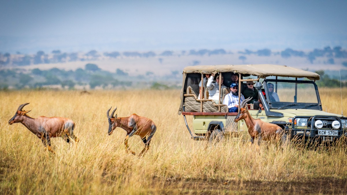 The Ideal Safari Age for Children in Kenya - photo 2