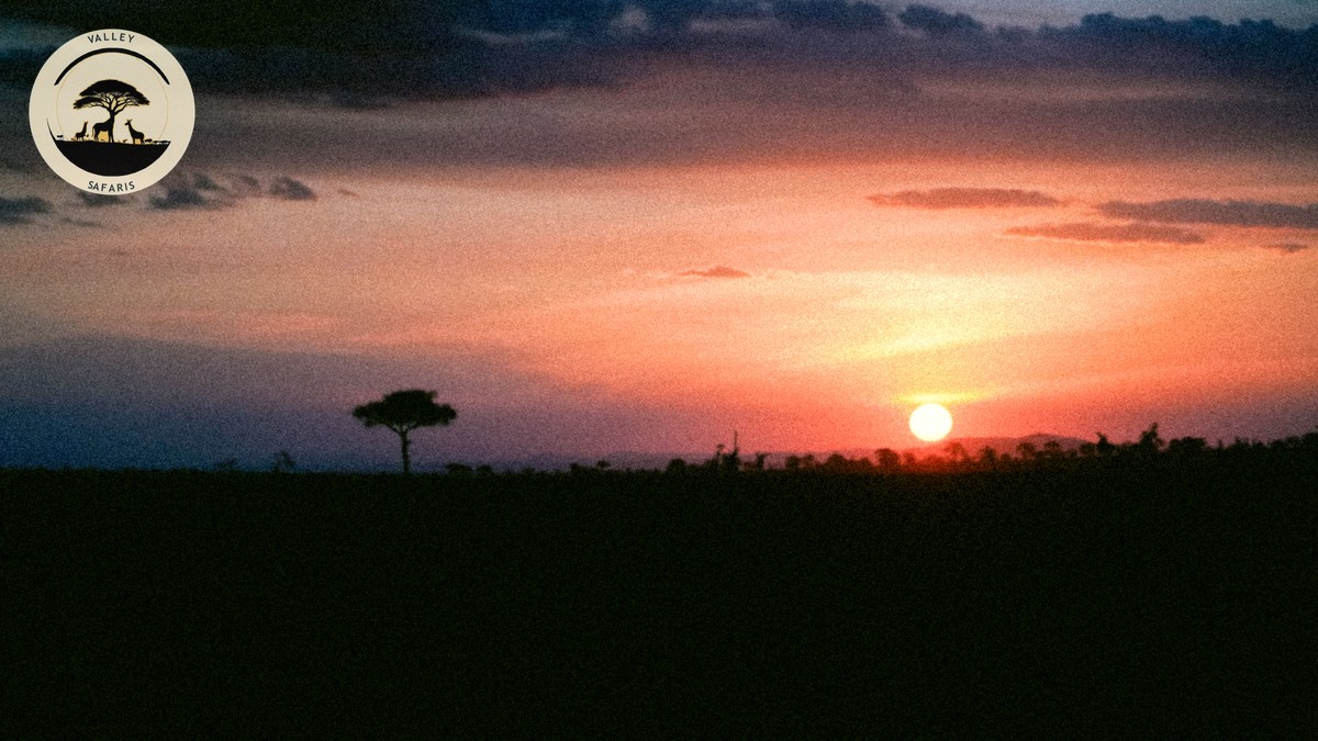 Is a Kenya Safari Worth the Cost? Real 2026 Prices - photo 1