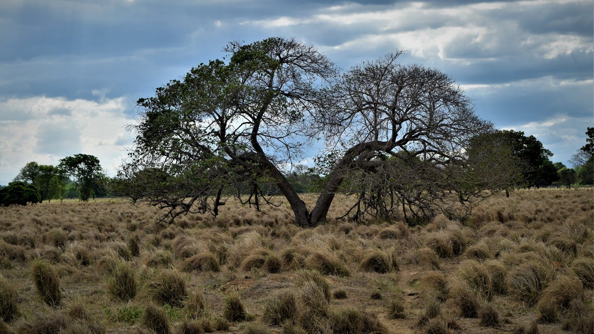 Is Nairobi Safe at Night? A Safari Traveler's Guide - photo 2