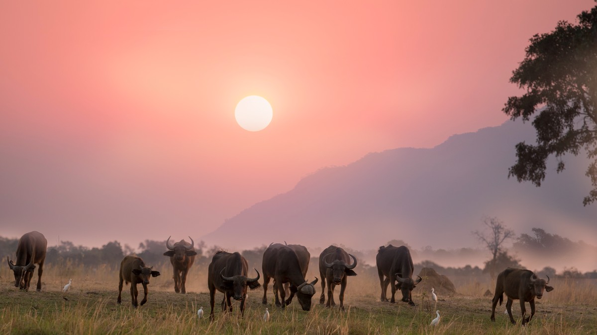 Is Tap Water Safe to Drink on a Kenya Safari? - photo 1