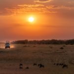 JKIA to Wilson Airport: How Much Time to Leave