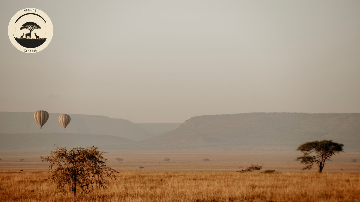 Kenya Coffee Tea Farm Tours Worth Adding to Your Trip - photo 1