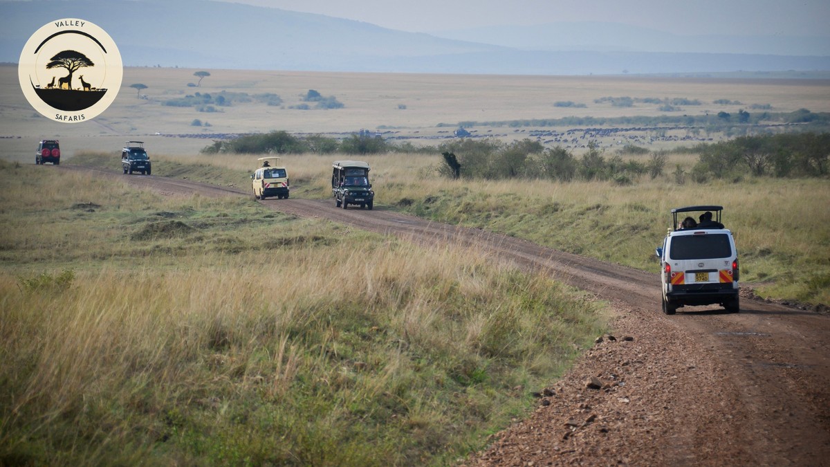 Kenya Coffee Tea Farm Tours Worth Adding to Your Trip - photo 2