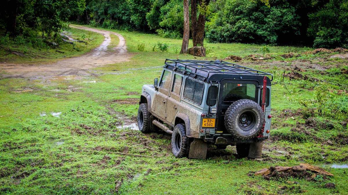 Kenya Photographic Hides: Ground-Level Wildlife Shots - photo 1