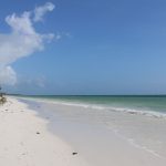 Kenya Safari and Beach Holiday Combo: A Planning Guide