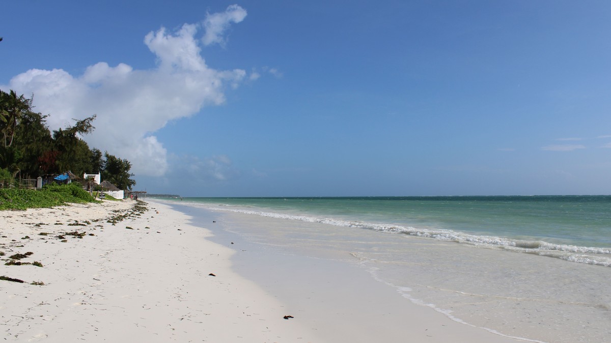 Kenya Safari and Beach Holiday Combo: A Planning Guide