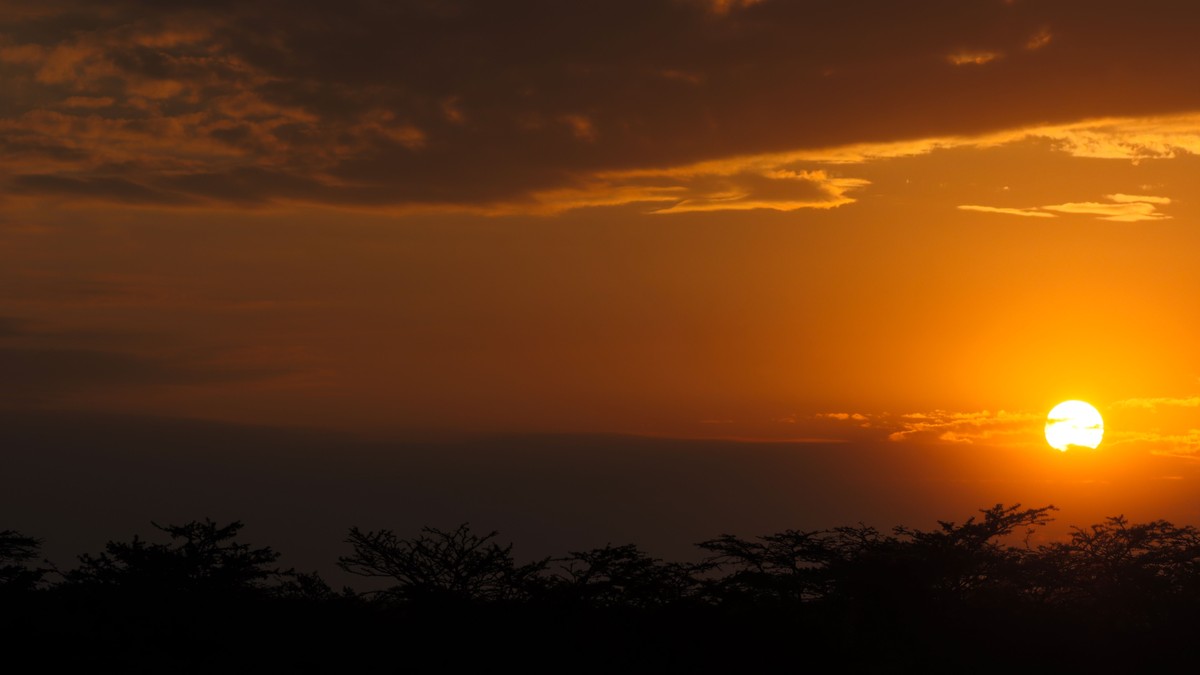Kenya Safari Vaccinations Required Checklist - photo 1