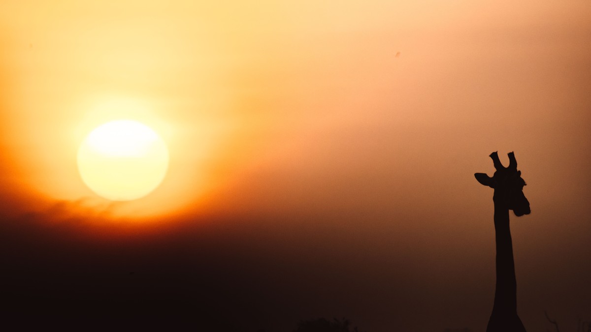 Kenya Safari Weather by Month: Season Guide - photo 1