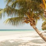 Kenya Safari + Zanzibar Beach Combo: The Full Guide