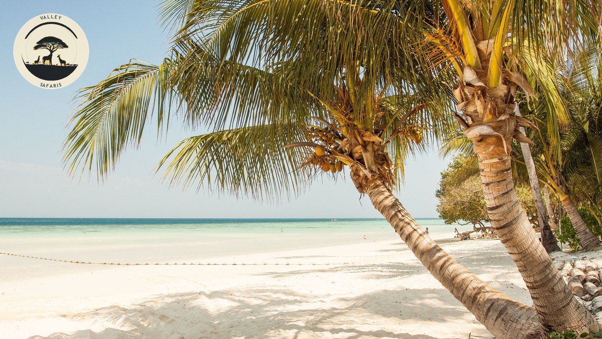 Kenya Safari + Zanzibar Beach Combo: The Full Guide