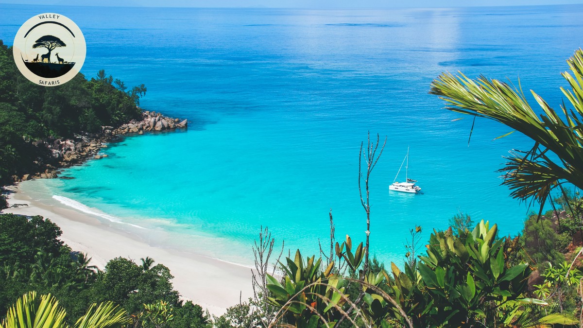 Kenya Safari + Zanzibar Beach Combo: The Full Guide - photo 2