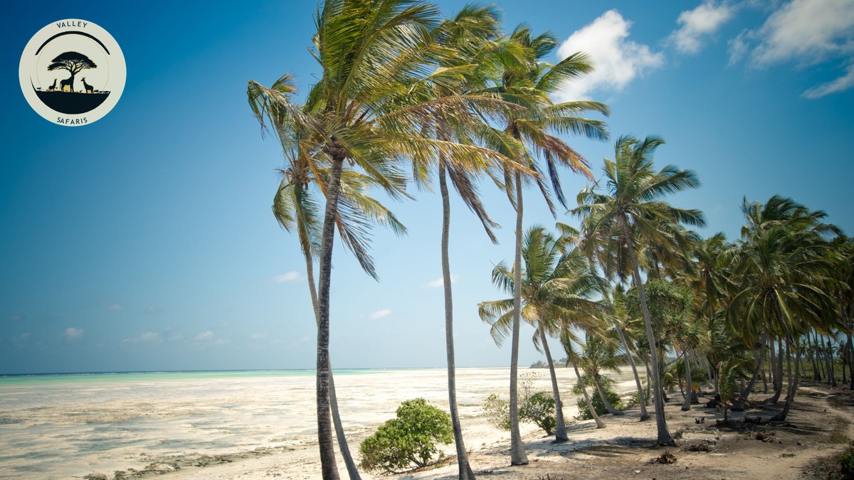 Kenya Safari + Zanzibar Beach Extension: 2026 Guide