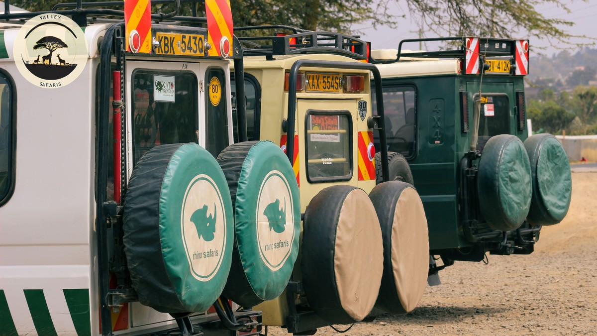 Kenya Travel Safety in 2026: Are Protests a Risk? - photo 2