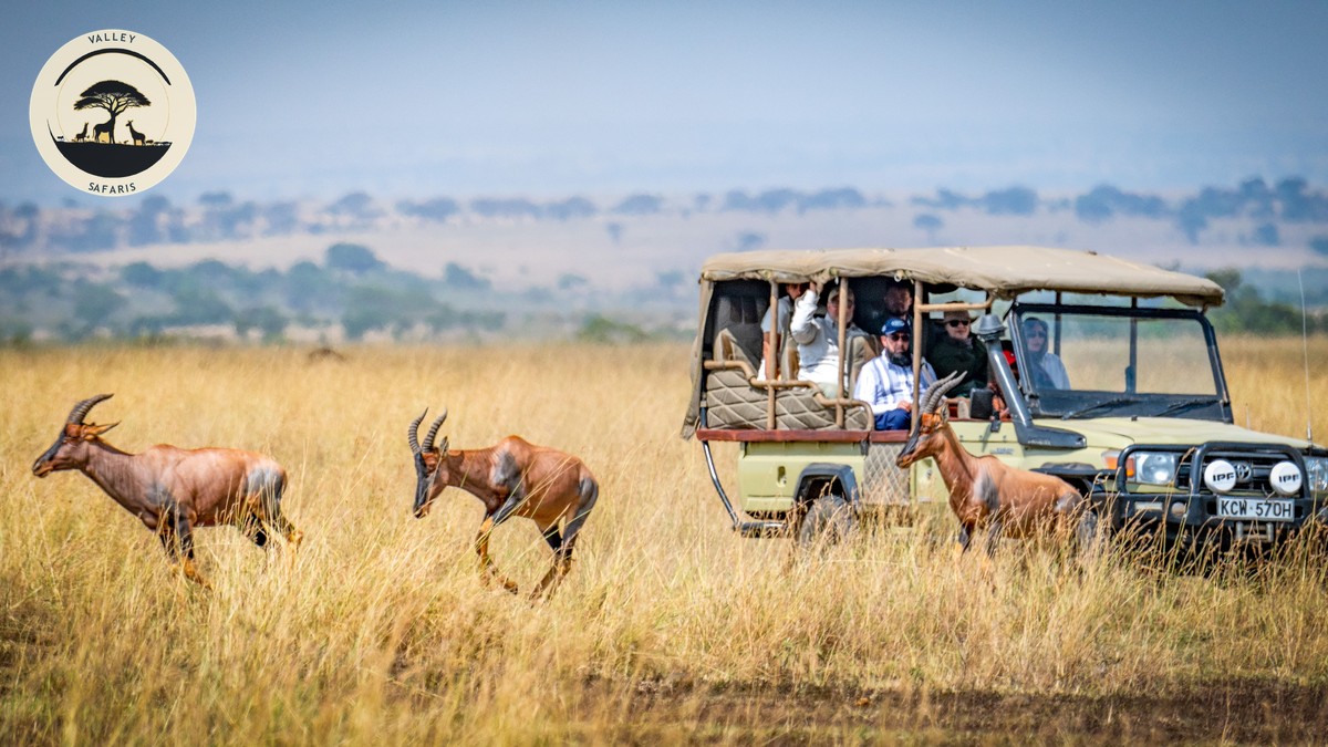 Kenyan Food Dishes to Try on Your Safari Trip - photo 2