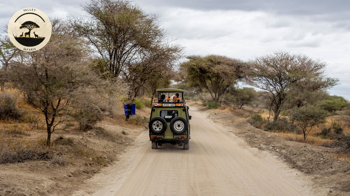 KWS Park Fee Increases 2026: What Changed & Where - photo 2