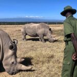 Why Laikipia Conservancy Safari Suits Repeat Visitors
