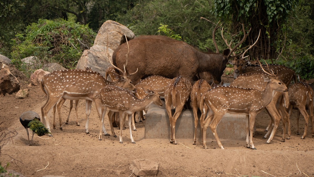 Why Laikipia Conservancy Safari Suits Repeat Visitors - photo 2