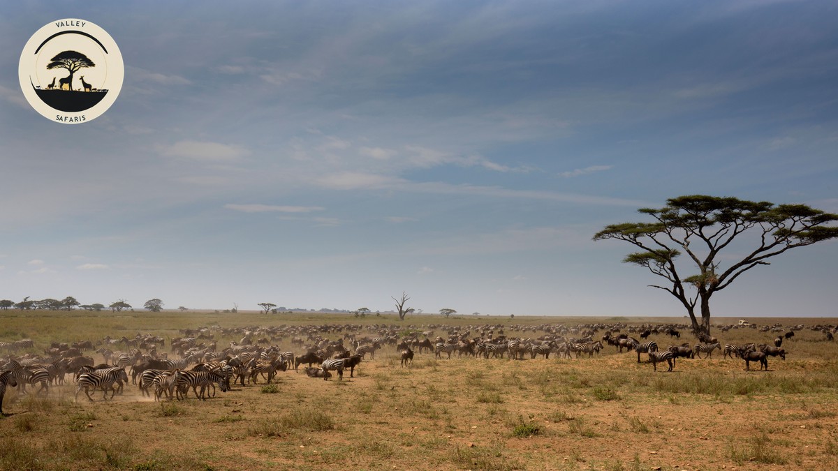 Lake Nakuru Day Trip from Nairobi: Worth It? - photo 2