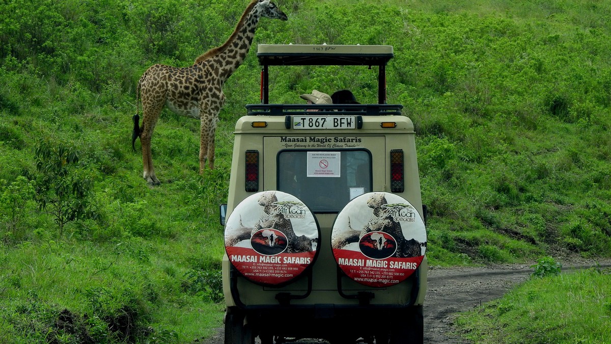 Large Group Safari Kenya: Reunion Planning Guide - photo 2