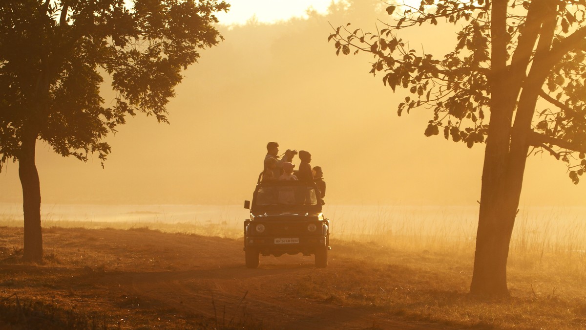 Malaria-Free National Parks in Kenya: Family Safari Guide - photo 1