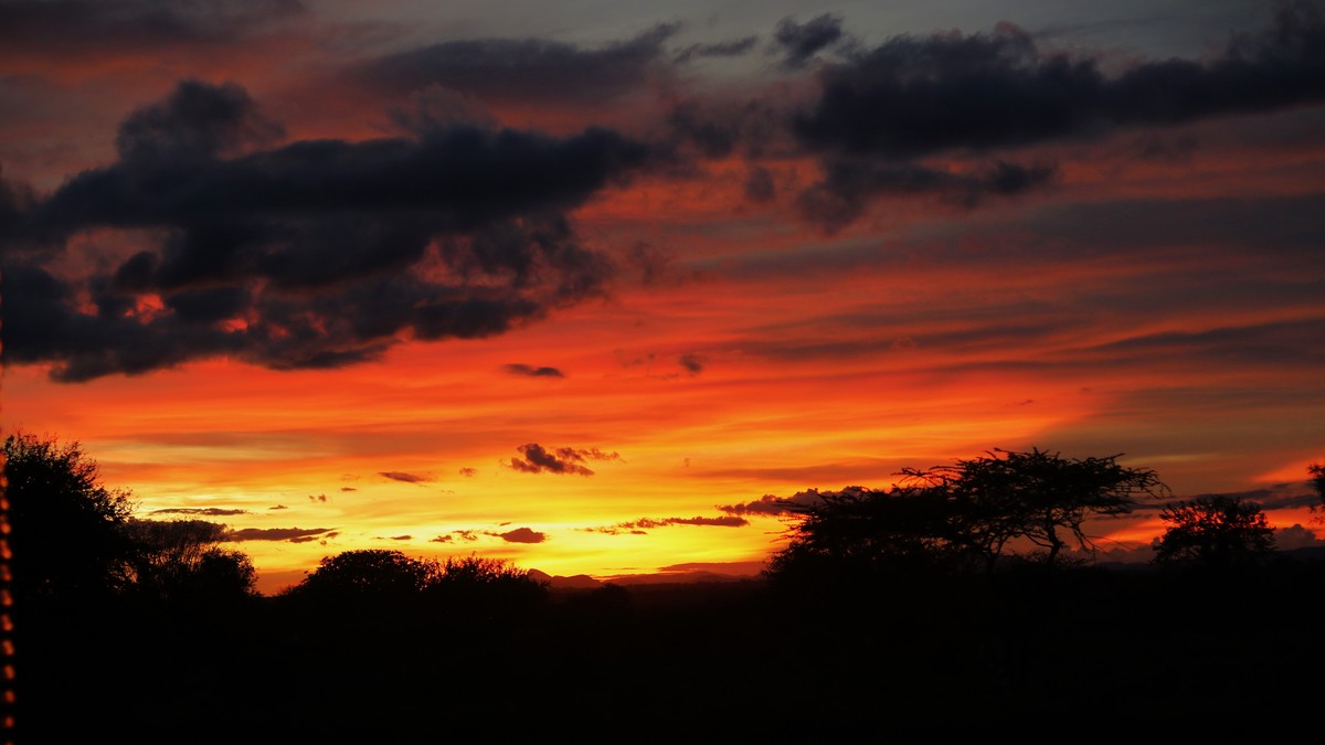 Kenya's Malaria Risk Map for Safari Travelers 2026 - photo 1