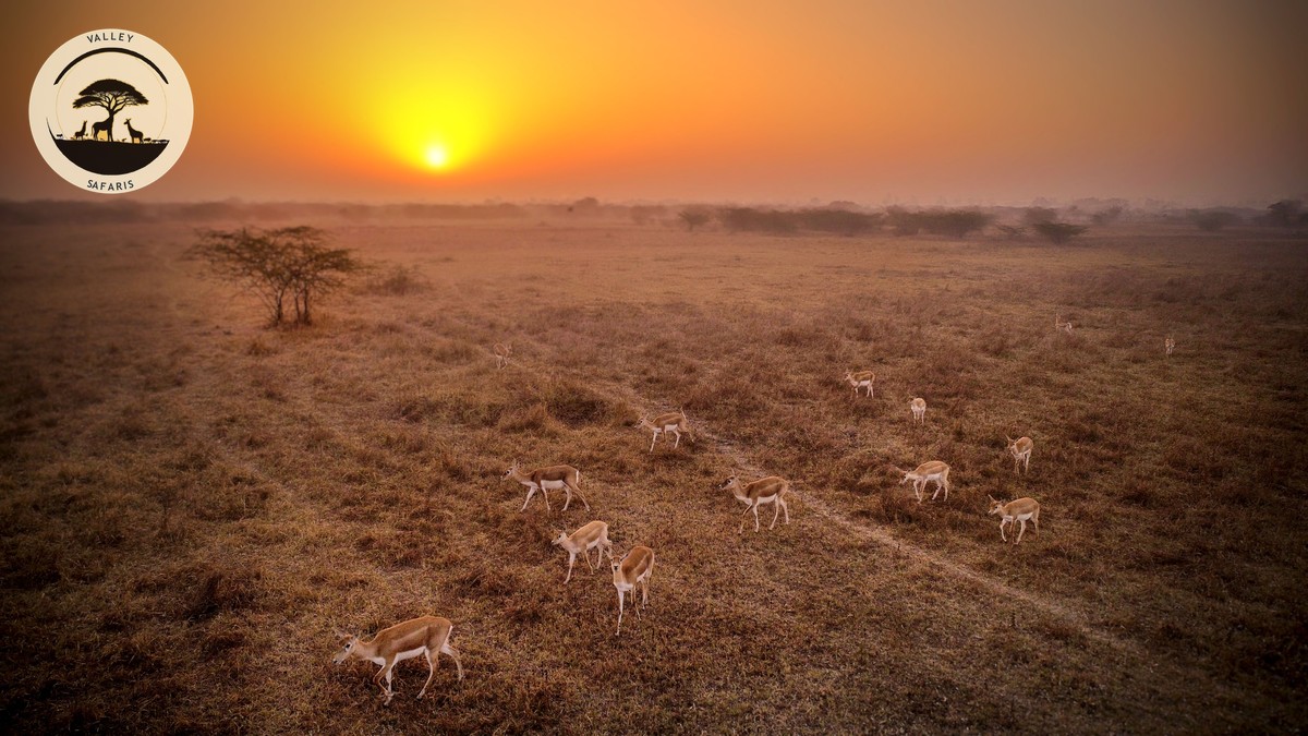 Mara Plus Laikipia: Two-Region Flight Circuit Guide - photo 1