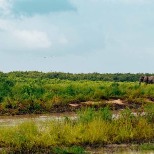 Meru National Park
