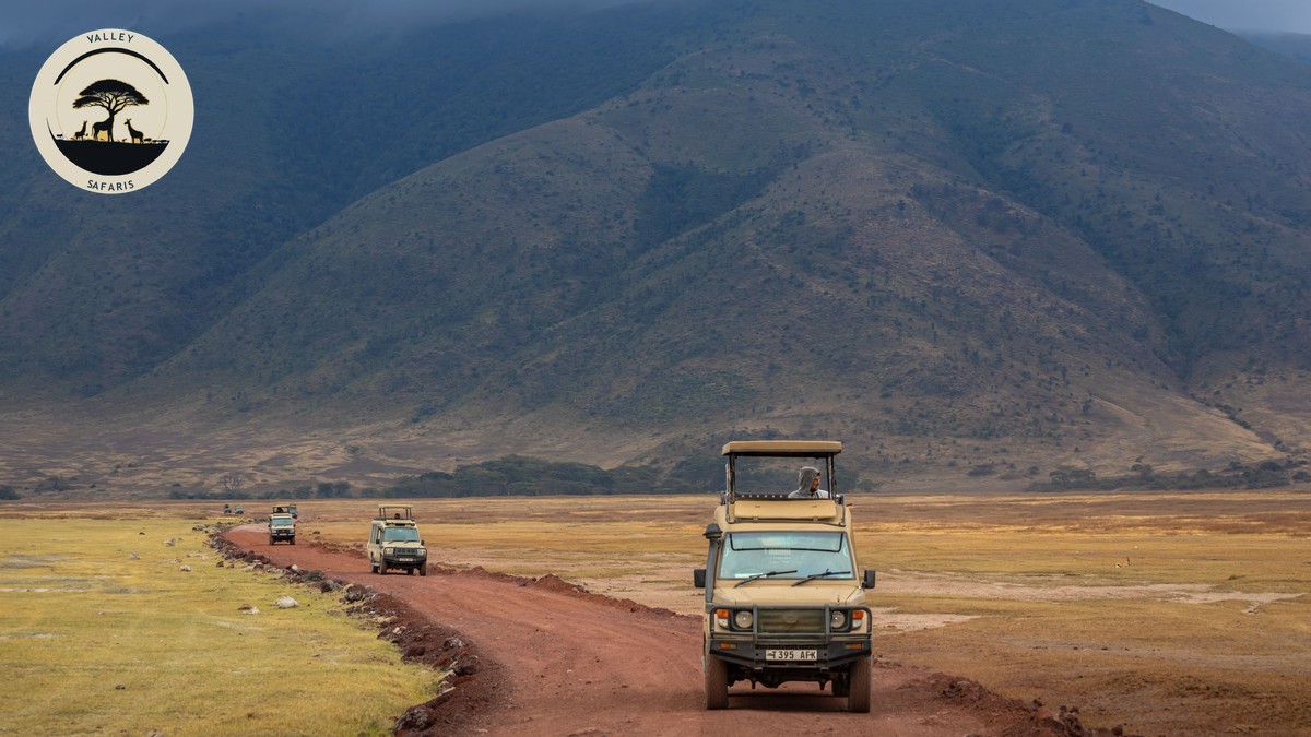 Minimum Age Policy Safari Camps: A Kenya Family Guide