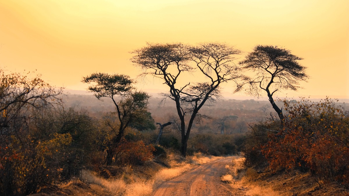 Mixed Age Sibling Safari Itinerary Guide (Kenya) - photo 1