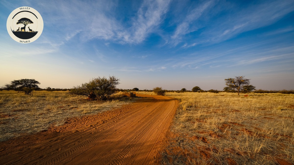 Morning vs Afternoon Game Drive Kenya: Which Wins? - photo 1