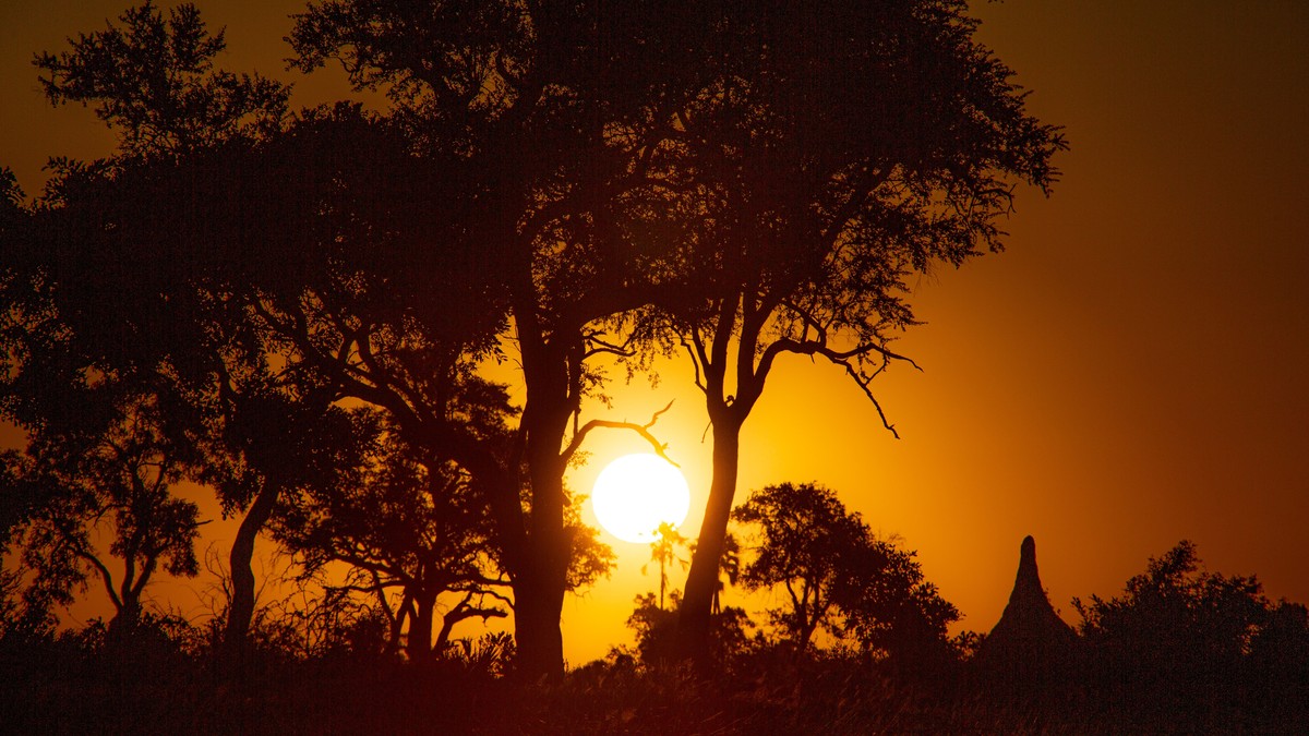 Motion Sickness Game Drive Tips for Safari - photo 1