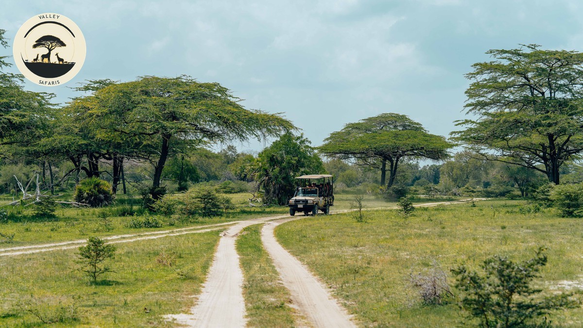 Mount Kenya Trekking Safari Combo Guide 2026 - photo 2
