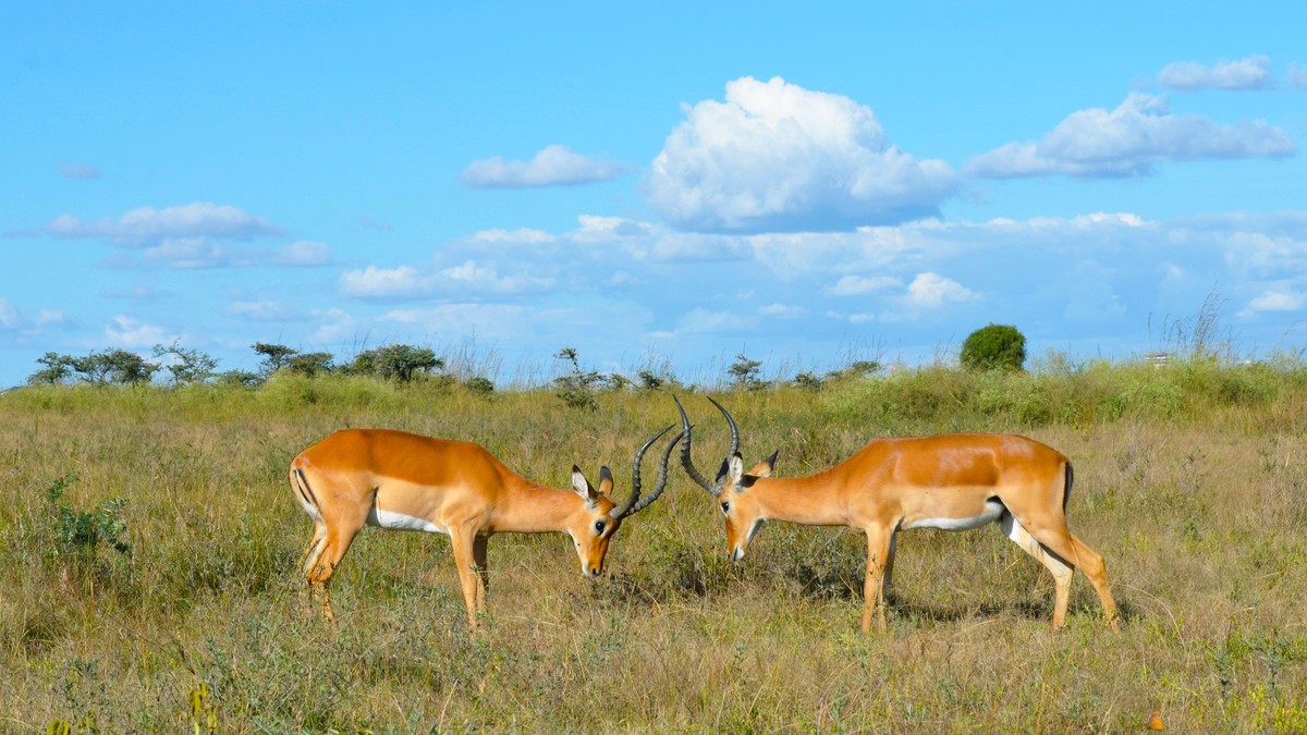 Mount Suswa Caves: A Nairobi Day Trip Guide (2026)