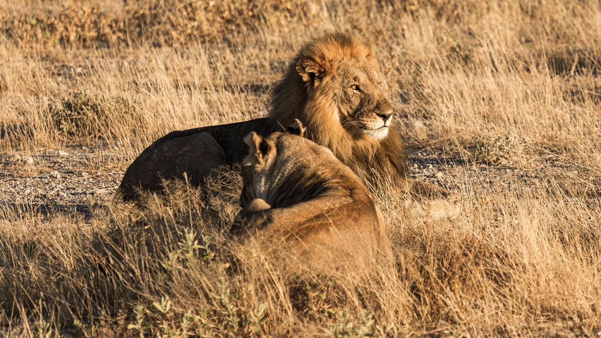 Nairobi Altitude Arrival Headache: What to Expect - photo 2