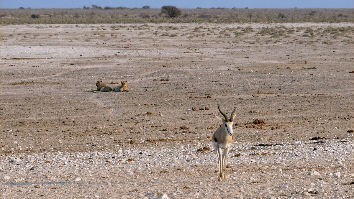Nairobi to Mombasa Train Safari: 2026 Guide - photo 2