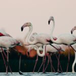 Nairobi to Nakuru Public Transport: Full 2026 Guide