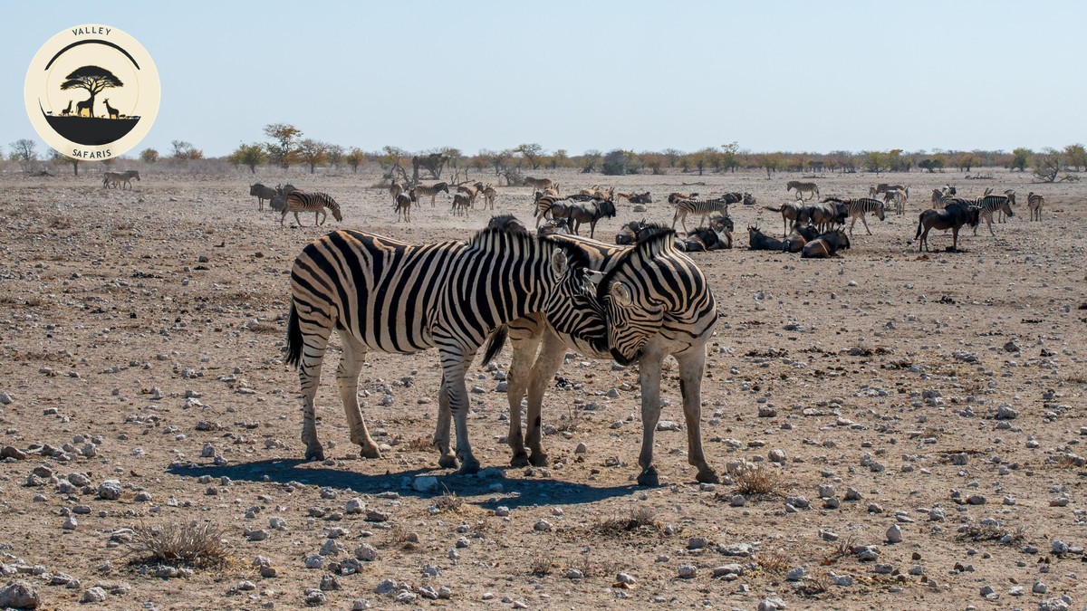 Namanga Border Crossing: Kenya-Tanzania Safari Guide