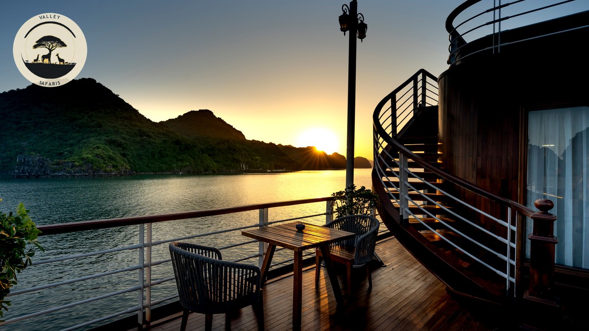 New Safari Lodges Kenya 2026: Where to Stay First - photo 2