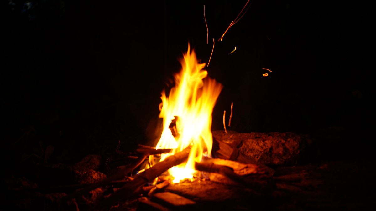 Night Game Drives in Kenya: Conservancies That Allow Them - photo 1