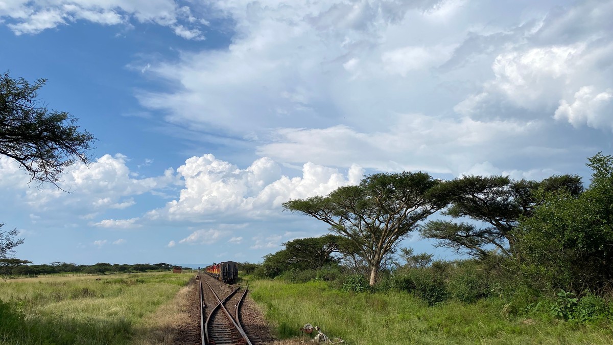 Night Game Drives in Kenya: Conservancies That Allow Them - photo 2