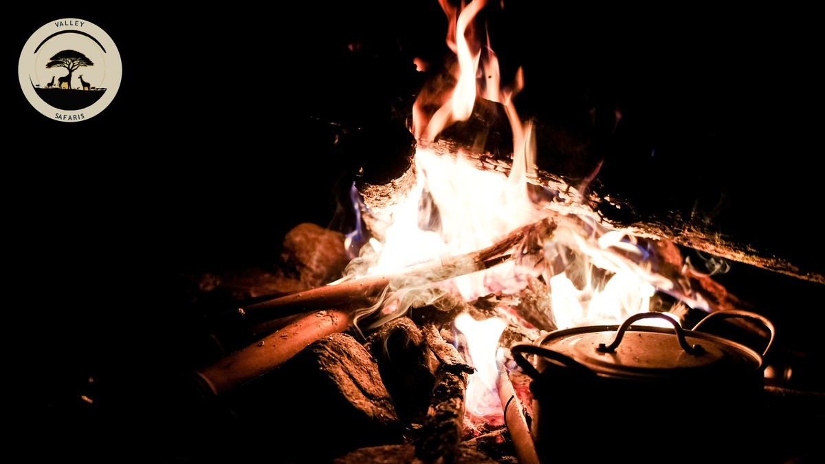 Night Game Drives: Only Legal in Private Conservancies - photo 1