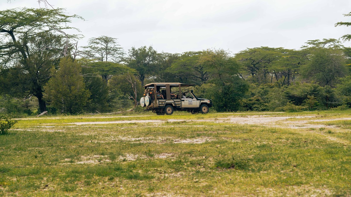 Nile Crocodile Mara River Facts for Family Safaris - photo 1