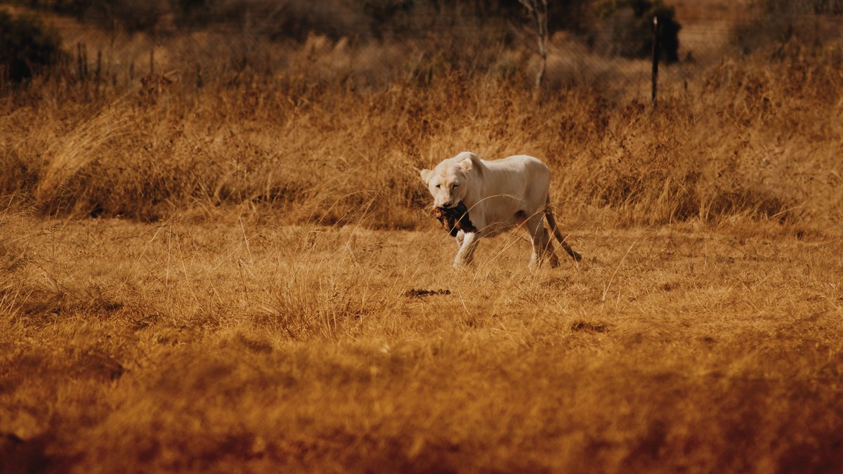 Overland Backpacker Route: Kenya, Tanzania, Uganda