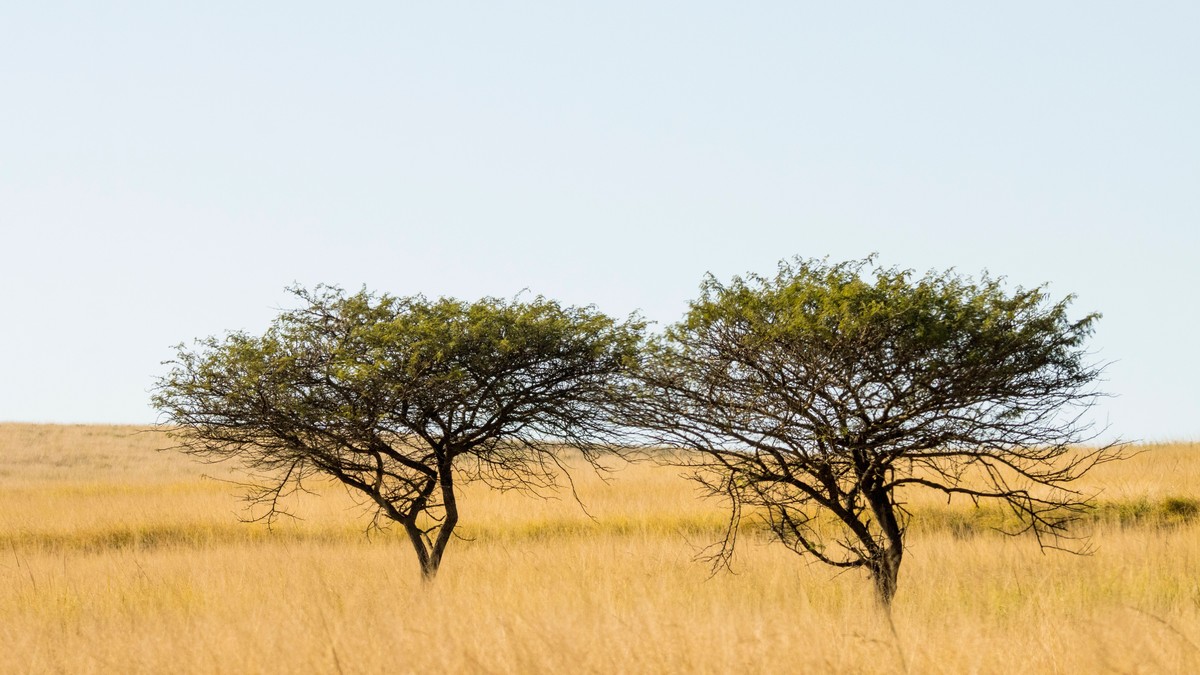 Overland Backpacker Route: Kenya, Tanzania, Uganda - photo 1