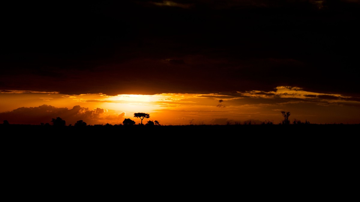 Overland Truck Safaris in Kenya: What to Expect - photo 1