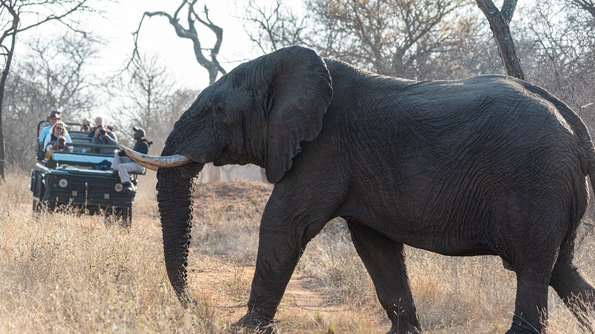 Overland Truck Safaris in Kenya: What to Expect - photo 2