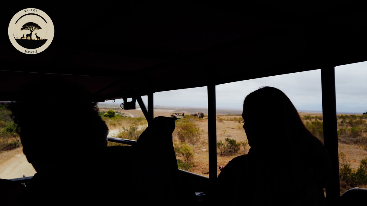Package Safari vs Custom Itinerary: Which Fits You? - photo 2