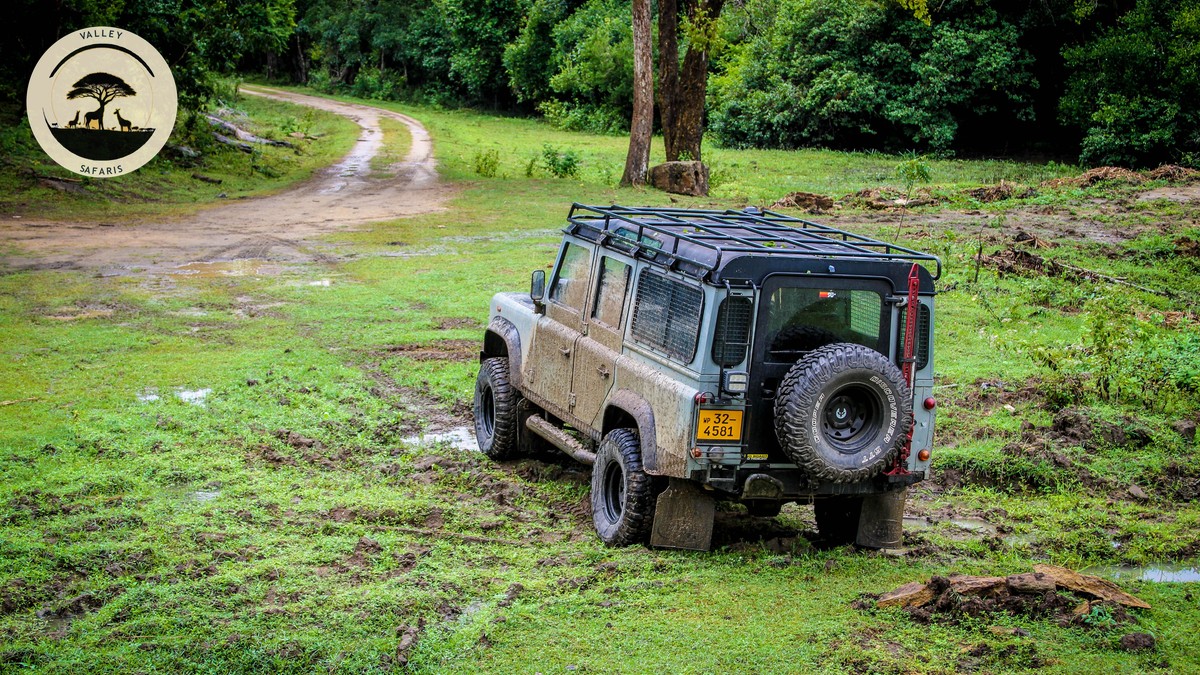 Photography Workshop Guided Safari Kenya | Valley Safaris - photo 1