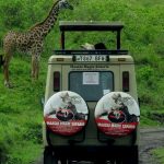 Pop-Up Roof vs Open-Sided Vehicle for Safari Photos