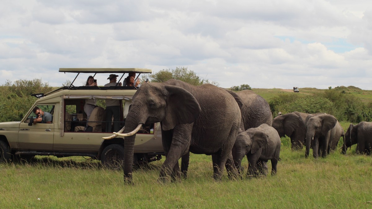 Pregnant Safari Kenya: Is It Safe? What to Know - photo 2